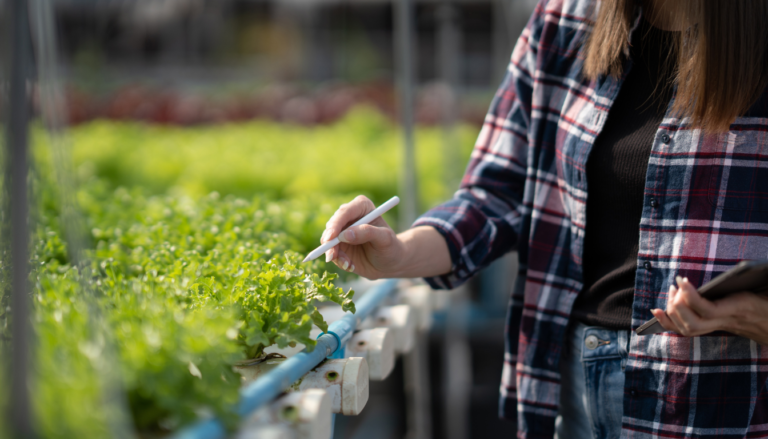 home Hydroponics